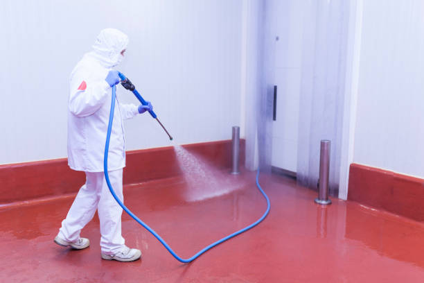 Best Pre-Holiday Cleaning  in Callahan, FL